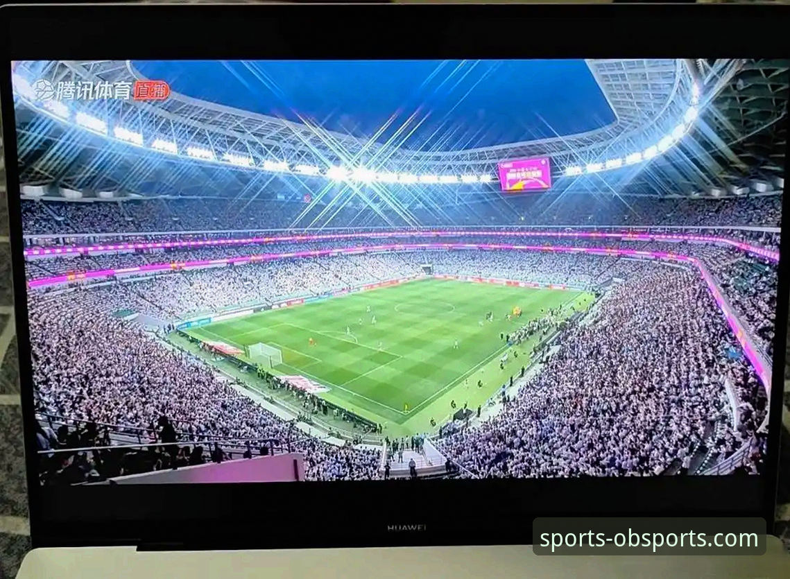 遗憾缺席 vs 战术悬念：阿根廷世界杯前景的变数与ob体育平台官网的深度解析